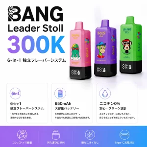 Bang Leader Stoll 300K – 6 in 1 フレーバー使い捨てベイプ